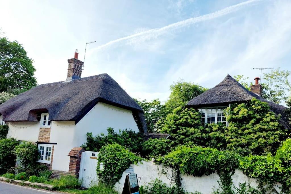 Piddle Puddle Cabin Dorchester Exterior photo
